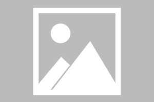 半岛体育官方网站-【英甲】普利茅斯vs莱顿东方比赛结果：普利茅斯(0-1)莱顿东方比分战报(2025年08月20日)